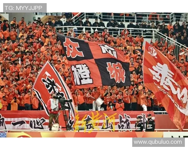 德国足球热情如火球迷文化与国家精神的完美结合